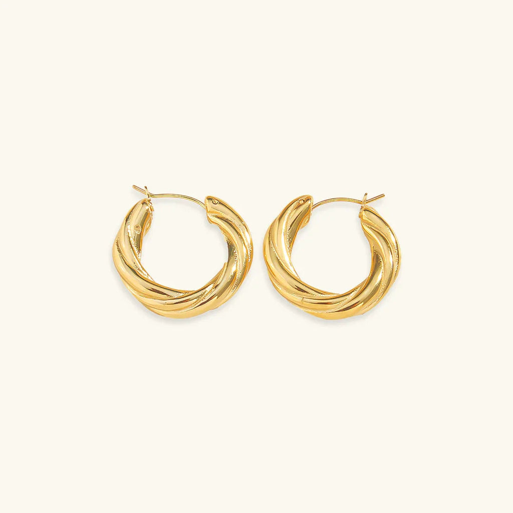 Aros Trenzados Denisse