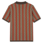 monte-carlo-polo-brown