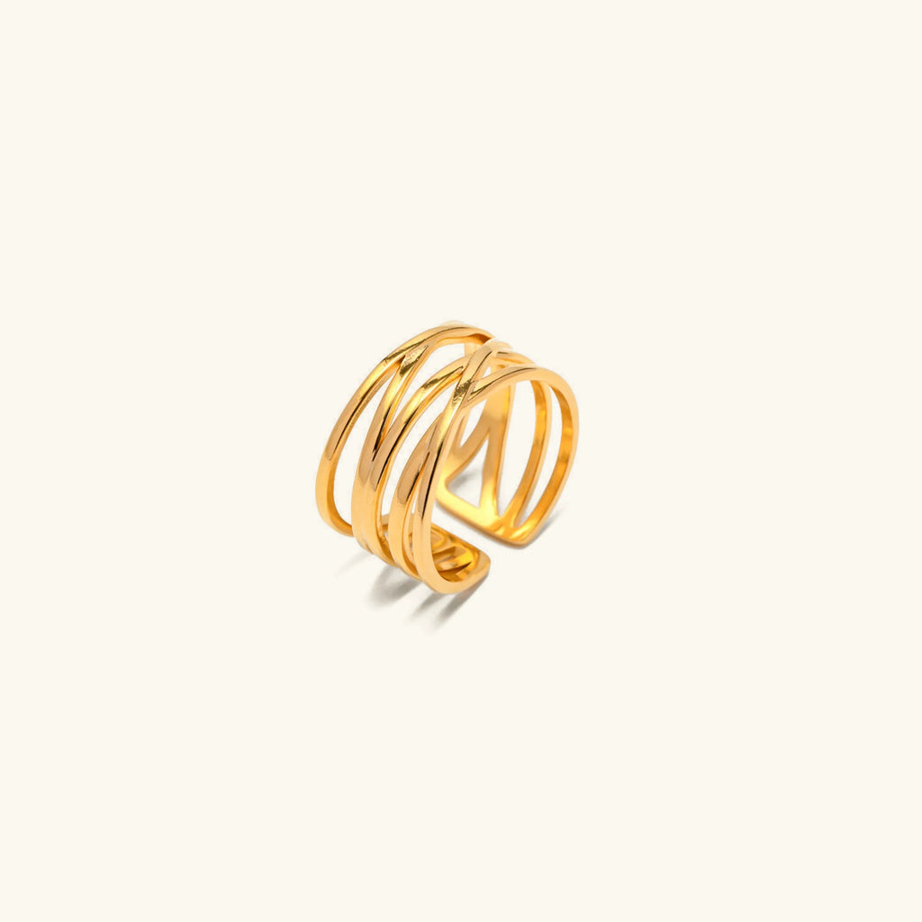 Anillo Líneas River